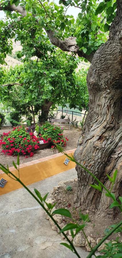Casa Vacanze Fondaco Di Scillato Scillato  Eksteriør billede