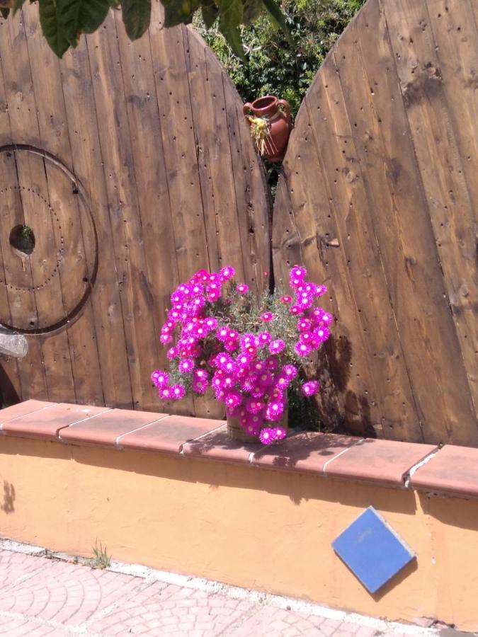 Casa Vacanze Fondaco Di Scillato Scillato  Eksteriør billede